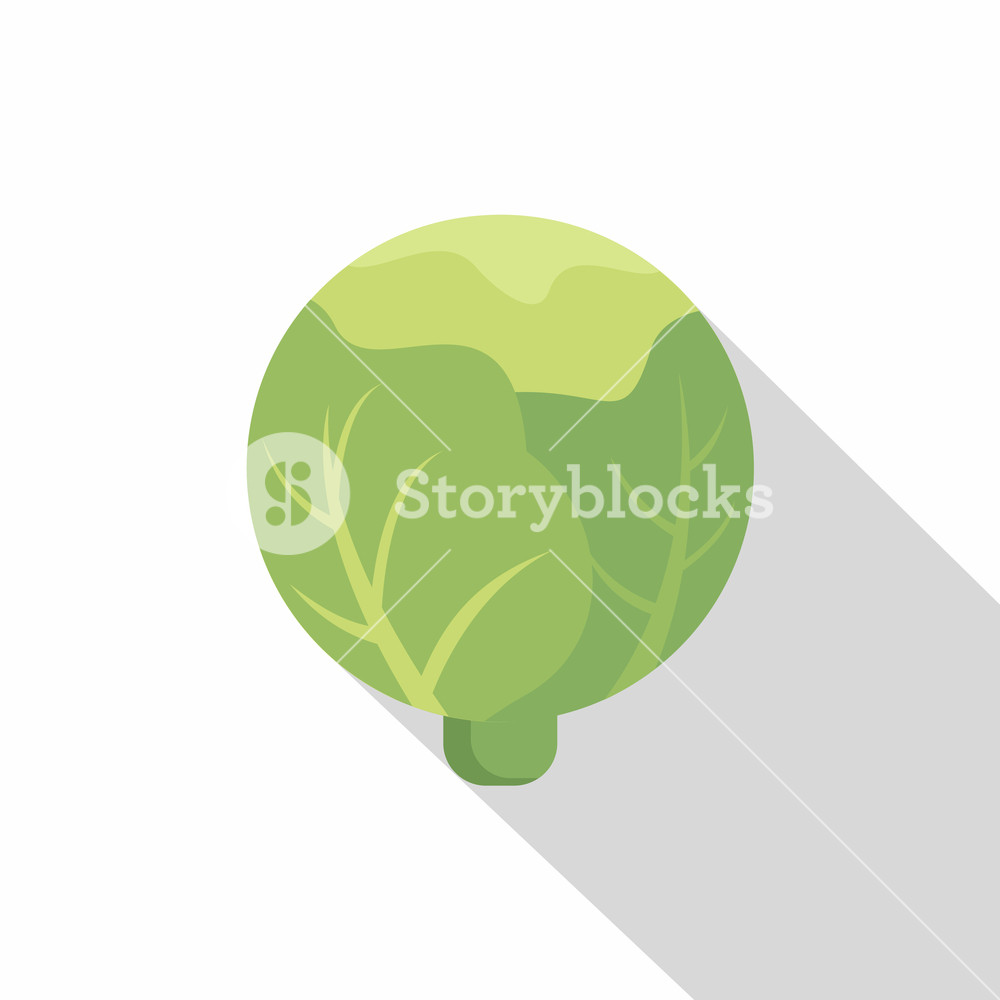 1000x1000 Cabbage Icon Flat Illustration Of Cabbage Vector Icon For Web
