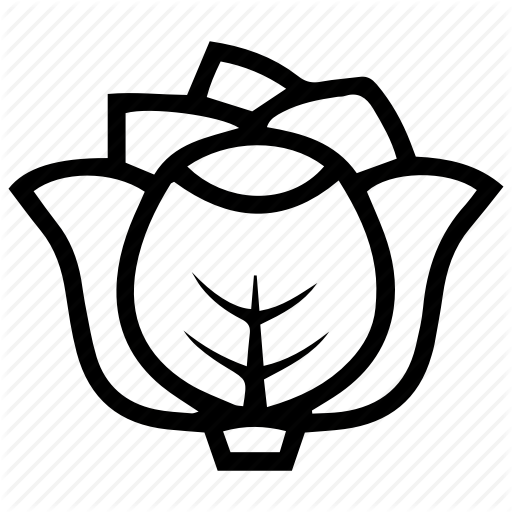 512x512 Cabbage Icon
