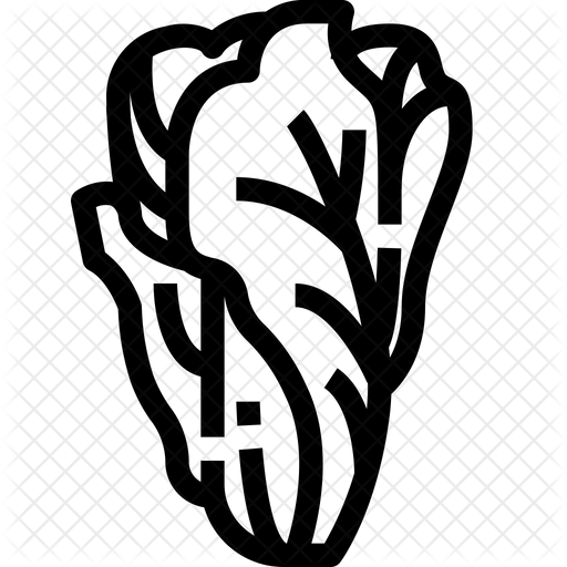 512x512 Chinese Cabbage Icon Of Line Style