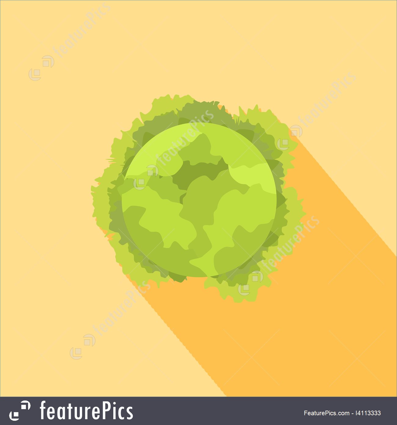 1300x1392 Food Cabbage Icon