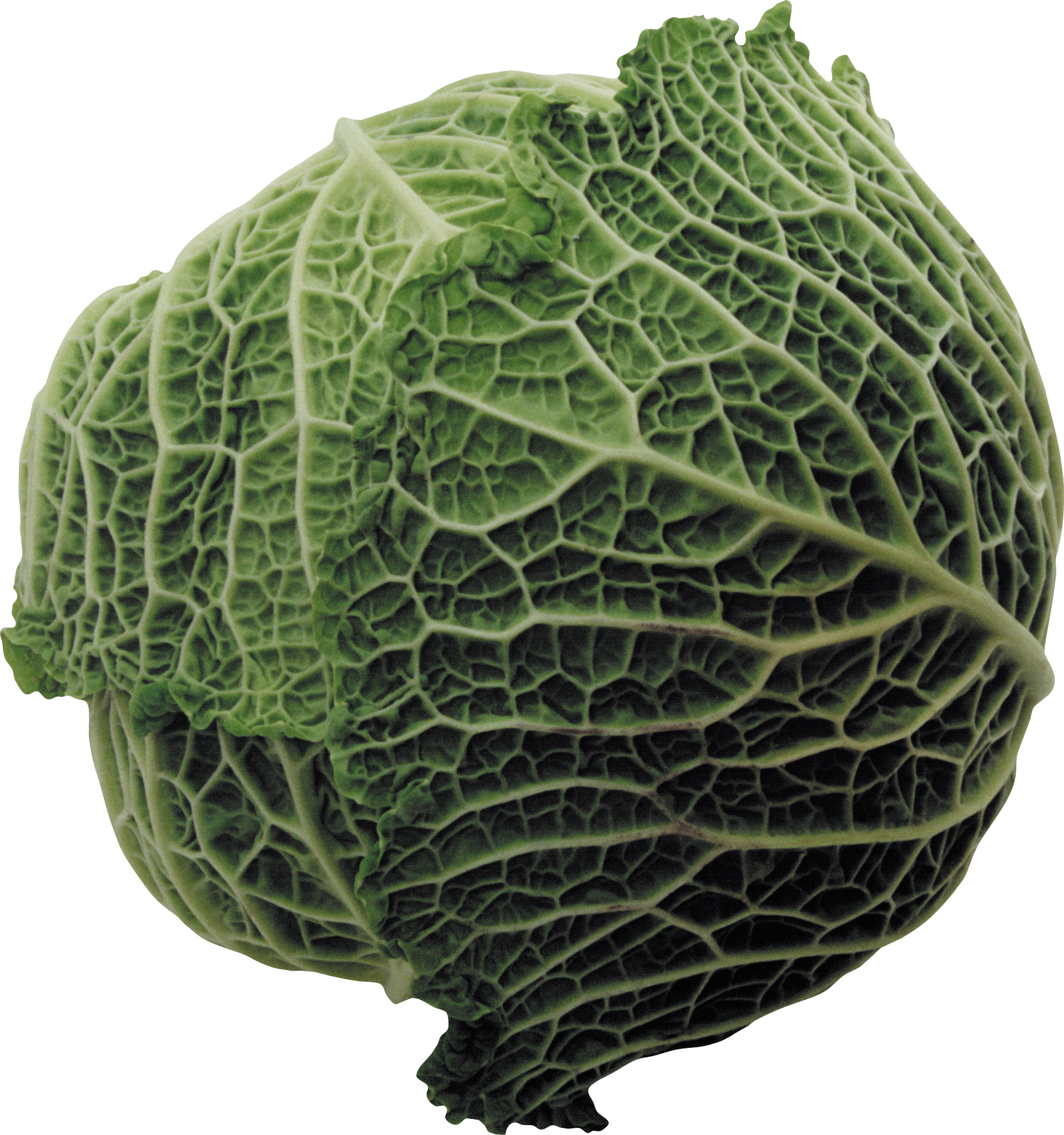 1917x2044 Large Cabbage Icons Png