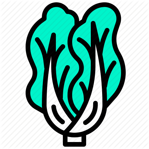 512x512 Cabbage, Chinese, Harvest, Vegetable, Vegetarian, Veggie Icon