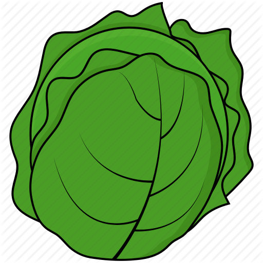 512x512 Cabbage, Green, Vegetable Icon