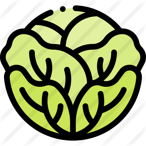 512x512 Cabbage