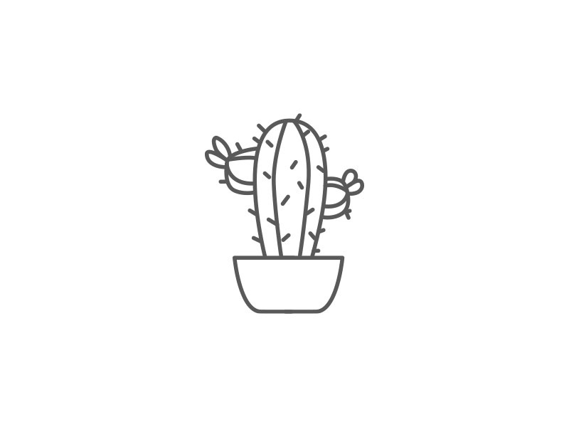 800x600 Cactus Icon