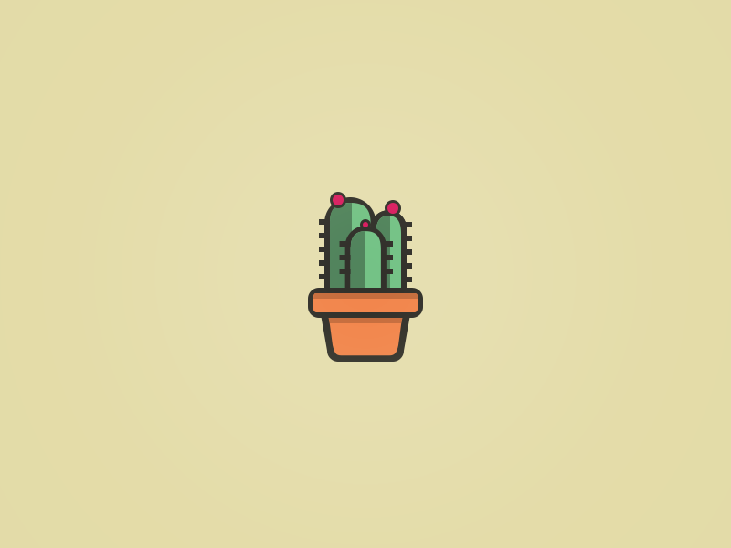 800x600 Cactus Icon Illustrations In Cactus Illustration
