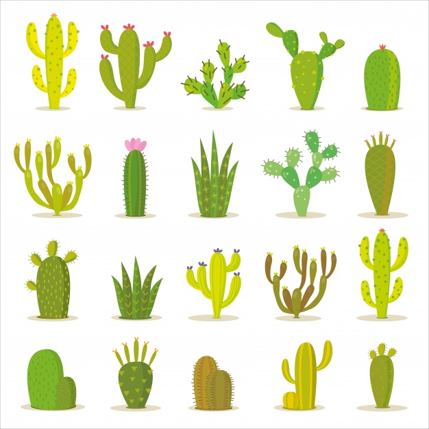 626x626 Cactus Icon Collection Vector Premium Download