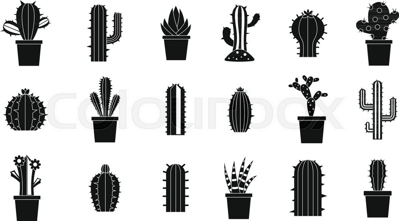 800x444 Cactus Icon Set Simple Set Of Cactus Stock Vector Colourbox