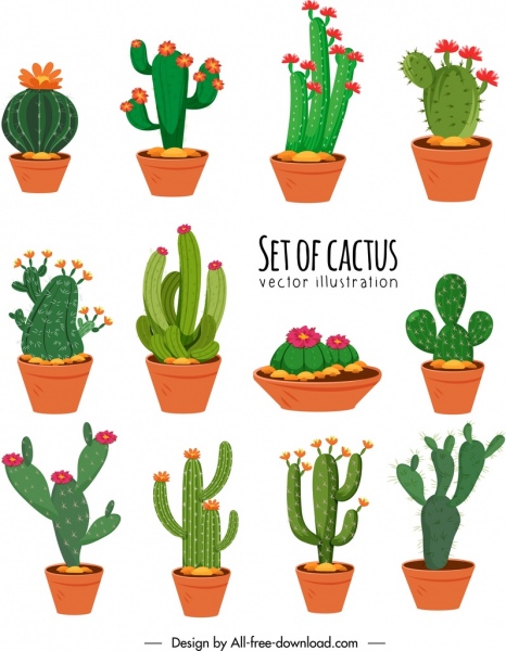 466x600 Cactus Icons Collection Colorful Classical Design Free Vector