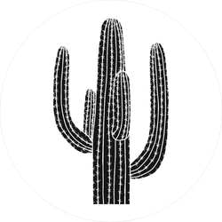 250x250 Mexican Cactus Icon Sticker