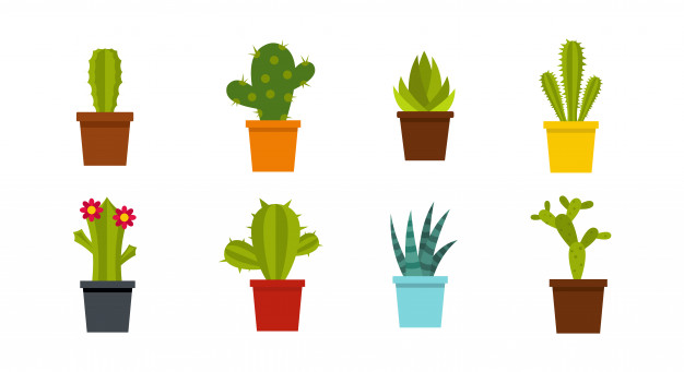 626x341 Room Cactus Icon Set Flat Set Of Room Cactus Vector Icons