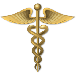 256x256 Caduceus Icon Free Of Medical Icons