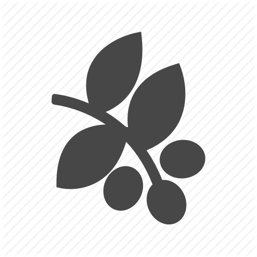 512x512 Caffeine, Coffee, Coffee Bean, Leaf Icon