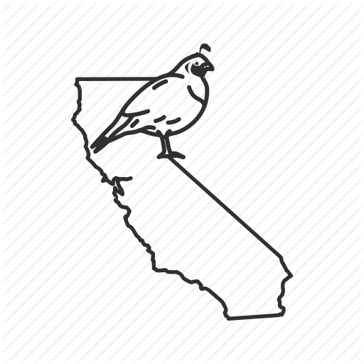 512x512 Borders, California, Map, State, State Bird, State Symbol, Usa Icon