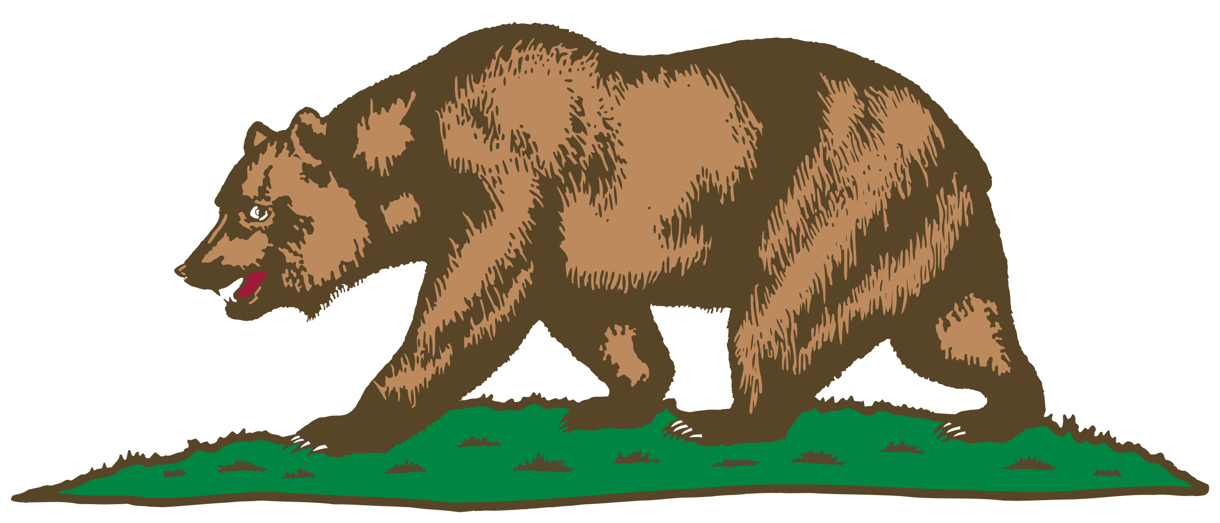 2400x1029 Flag Of California