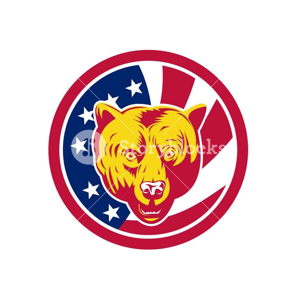 1000x1000 Icon Retro Style Illustration Of An American Brown Bear