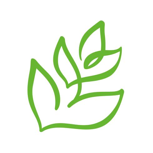490x490 Logo Of Green Leaf Of Tea Ecology Nature Element Vector Icon