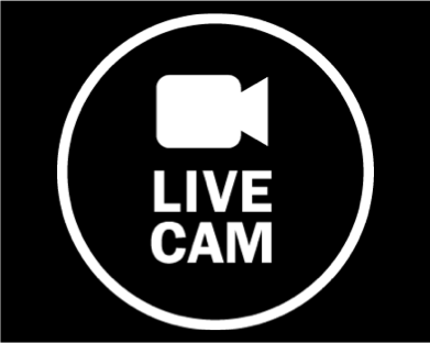 391x312 Live Cam Icon