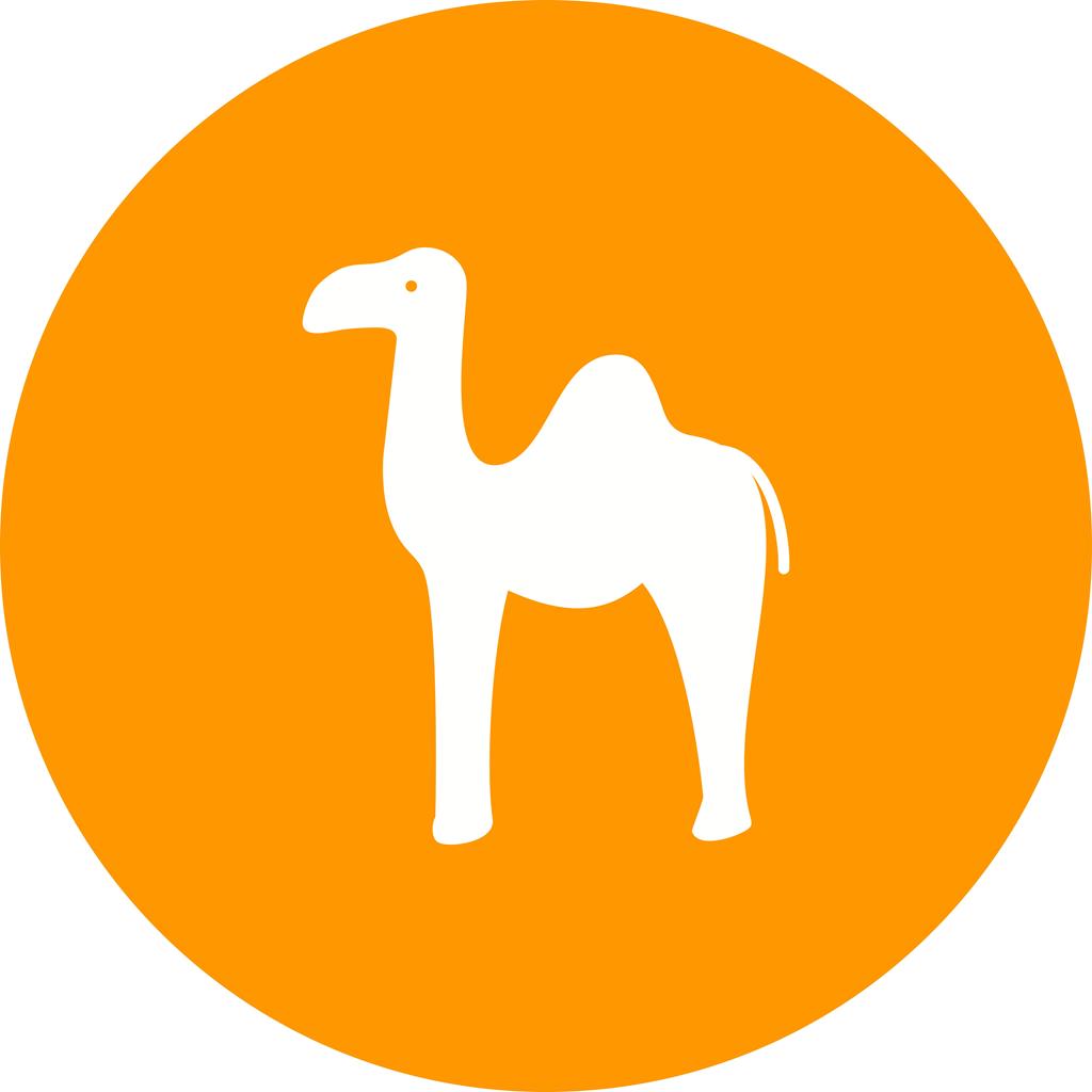 Camel Flat Round Icon 1024x1024 Camel Flat Round Icon