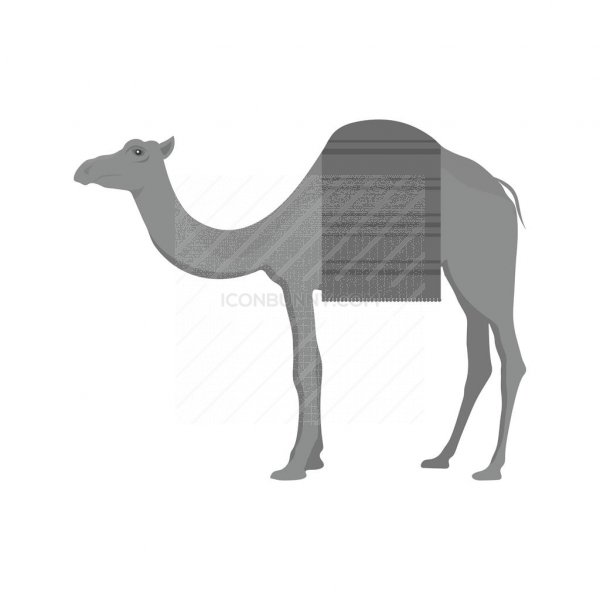 Camel Greyscale Icon 600x600 Camel Greyscale Icon