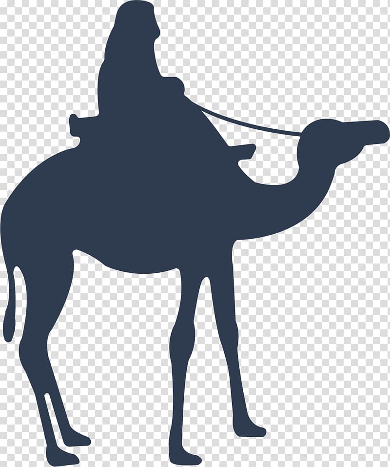 Camel Icon, Blue Camel Transparent Background Png Clipart Hiclipart 800x957 Camel Icon, Blue Camel Transparent Background Png Clipart Hiclipart