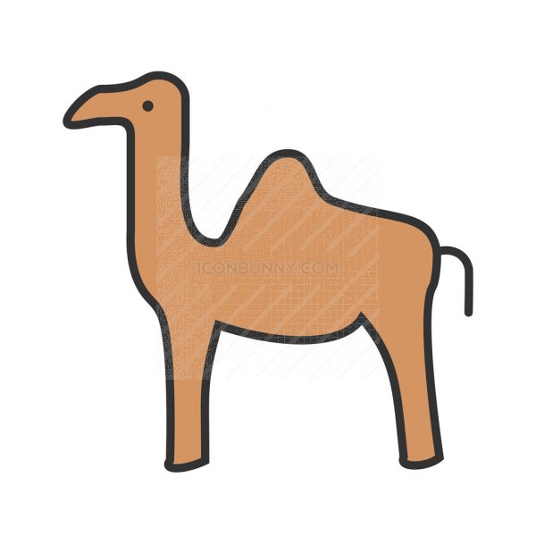 Camel Line Filled Icon 600x600 Camel Line Filled Icon