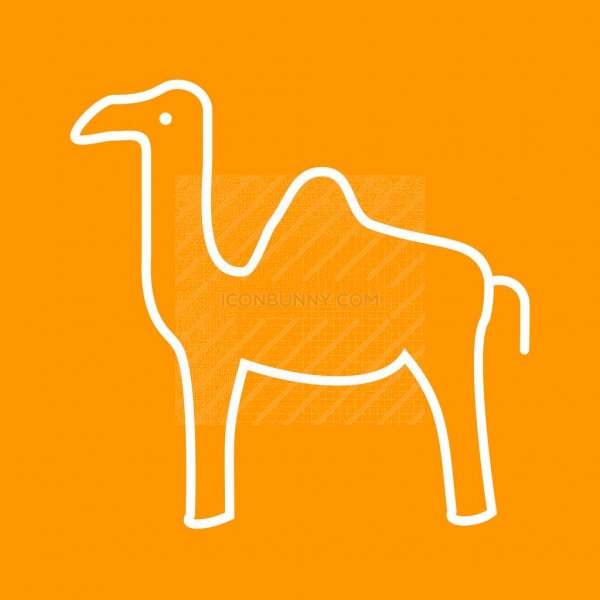 Camel Line Multicolor Bg Icon 600x600 Camel Line Multicolor Bg Icon