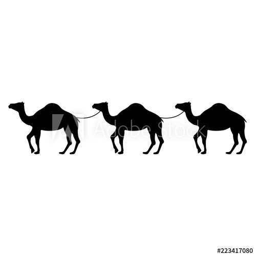Camel Icon, Silhouette, Logo On White Background 500x500 Camel Icon, Silhouette, Logo On White Background