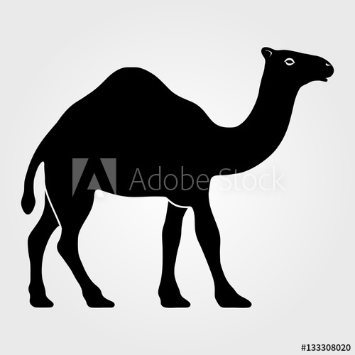 Camel Icon On A White Background 500x500 Camel Icon On A White Background