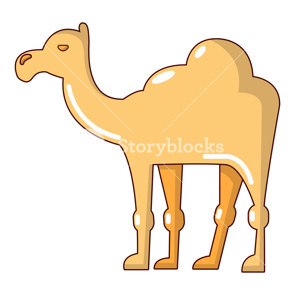 Camel Icon Cartoon Illustration Of Camel Vector Icon For Web 1000x1000 Camel Icon Cartoon Illustration Of Camel Vector Icon For Web