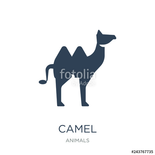 Camel Icon Vector On White Background, Camel Trendy Filled Icons 500x500 Camel Icon Vector On White Background, Camel Trendy Filled Icons