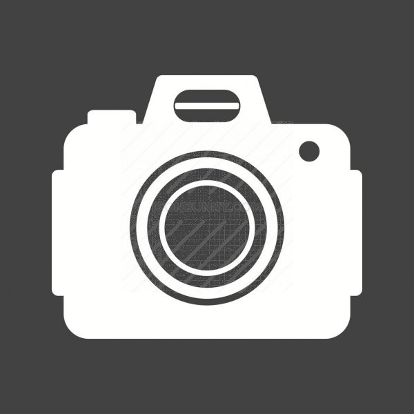 600x600 Dslr Camera Glyph Inverted Icon
