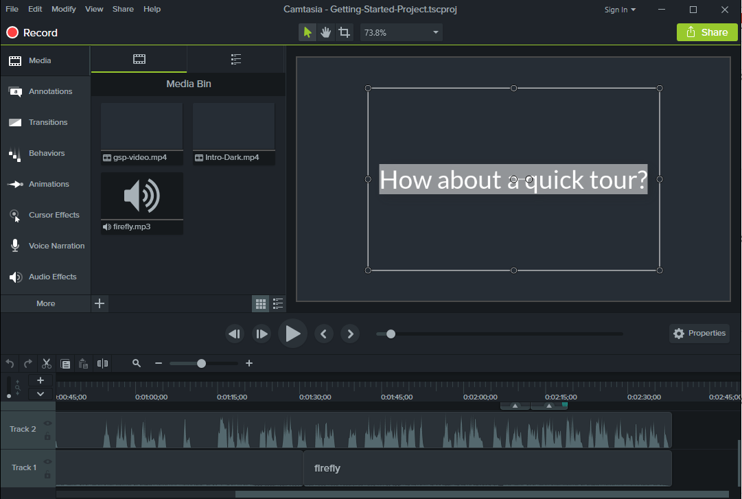 1081x727 Camtasia Studio