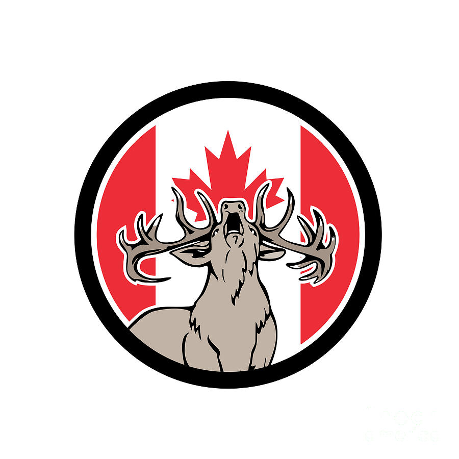 Canadian Stag Deer Canada Flag Icon Digital Art 900x900 Canadian Stag Deer Canada Flag Icon Digital Art