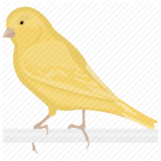 Canary Icon