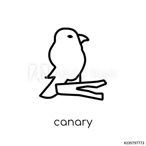 500x500 Canary Icon Trendy Modern Flat Linear Vector Canary Icon On White