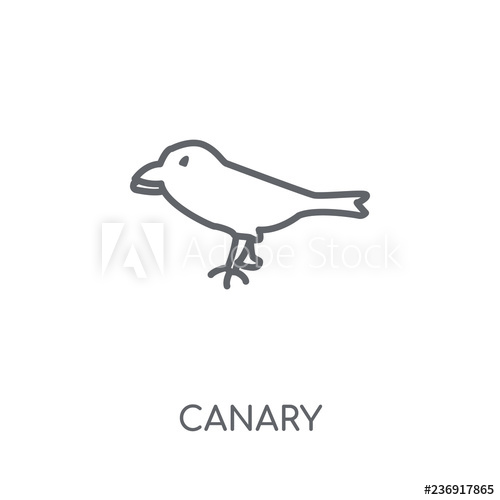 500x500 Canary Linear Icon Modern Outline Canary Logo Concept On White