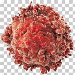 310x310 Cancer Cell Acute Myeloid Leukemia, Lymphocyte Icon Png Clipart