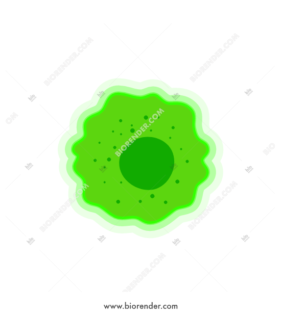 550x620 Biorender Cancer Cell