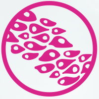 200x200 Patient Specific Cancer Cell Lines And Models