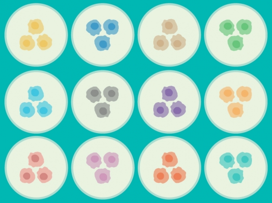 557x415 Broad Institute Awarded Contract To Create New Cancer Cell Models