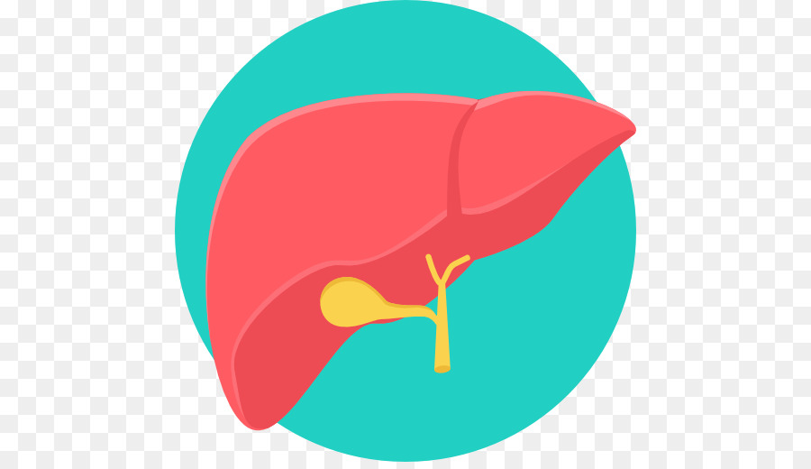 Cliparts For Free Download Liver Clipart Liver Cancer Icon 900x520 Cliparts For Free Download Liver Clipart Liver Cancer Icon