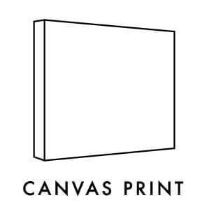 296x296 Palm Springs Doorway I Canvas Retro Artwork The Print Emporium