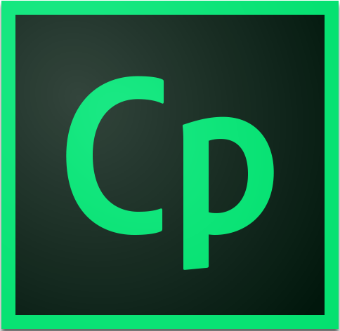 484x472 Adobe Captivate Training