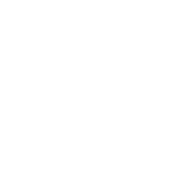 256x256 White Car Icon