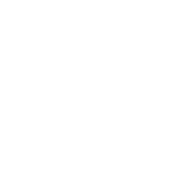 256x256 White Car Icon