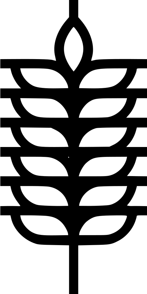 491x980 Wheat Flour Carbohydrate Png Icon Free Download