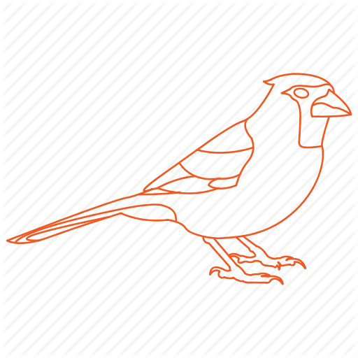 512x512 Bird, Birds, Cardinal Icon