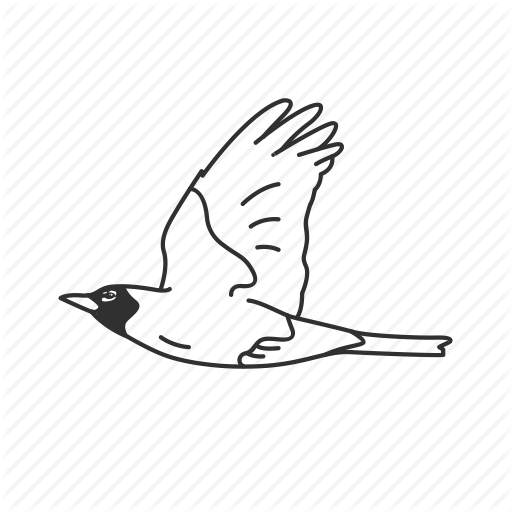 512x512 Bird, Cardinal, Common Bird, Flying Icon