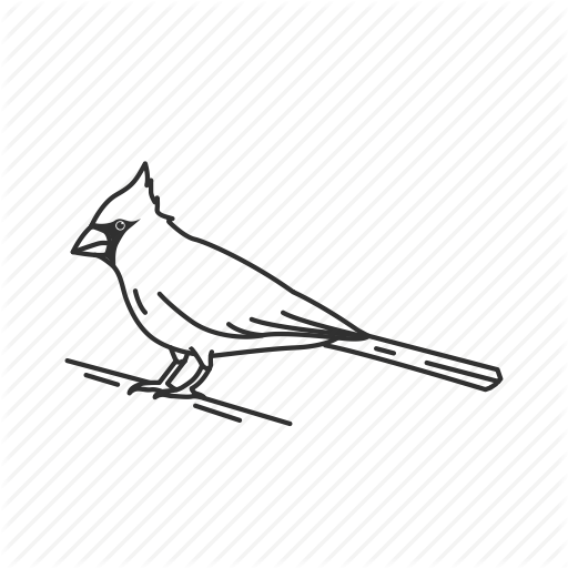 512x512 Bird, Cardinal, Common Bird Icon
